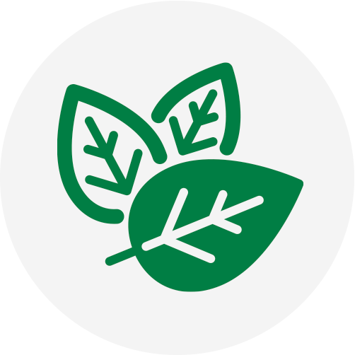 Eco-friendly icon