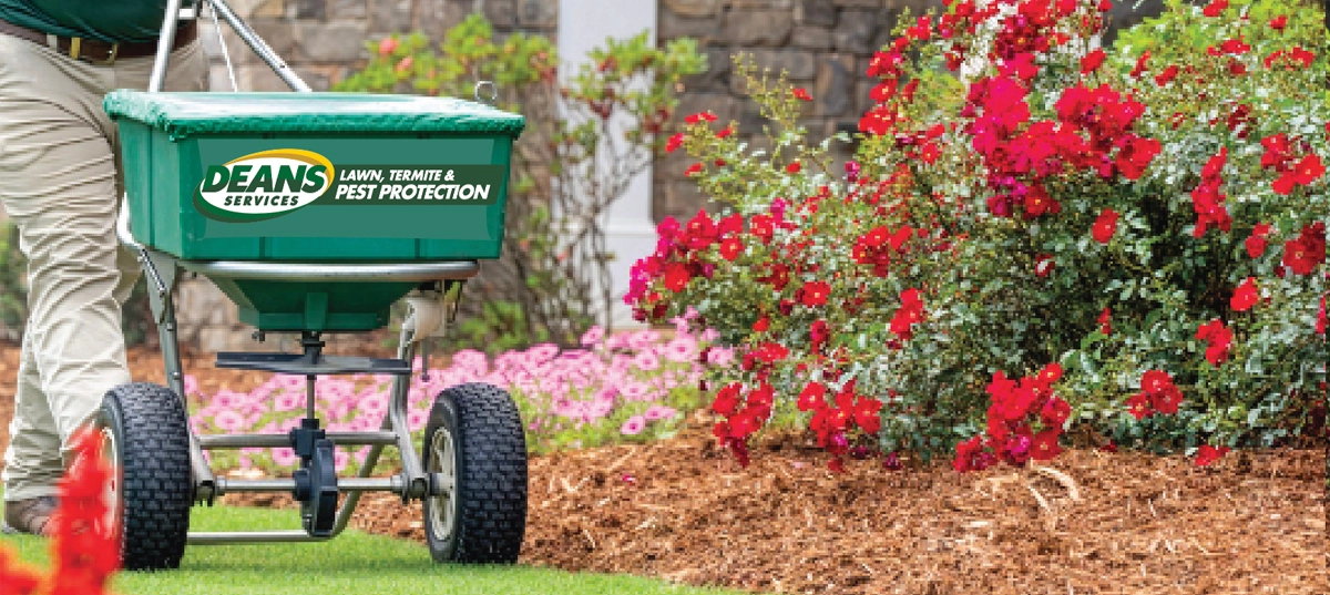 a Deans branded seedspreader next to a flower bed