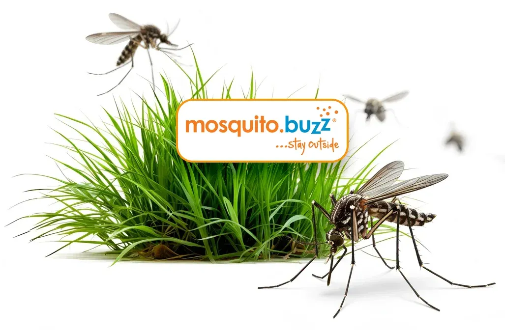 mosquito buzz logo