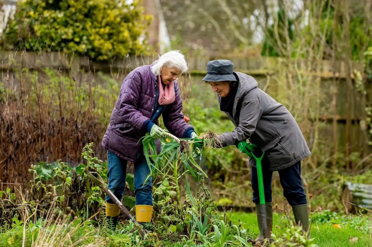 Senior ladies cleaning up their yard