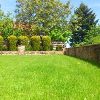 yard of healthy trees and grass