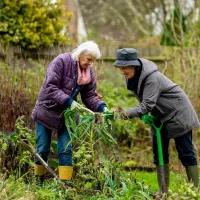Senior ladies cleaning up their yard