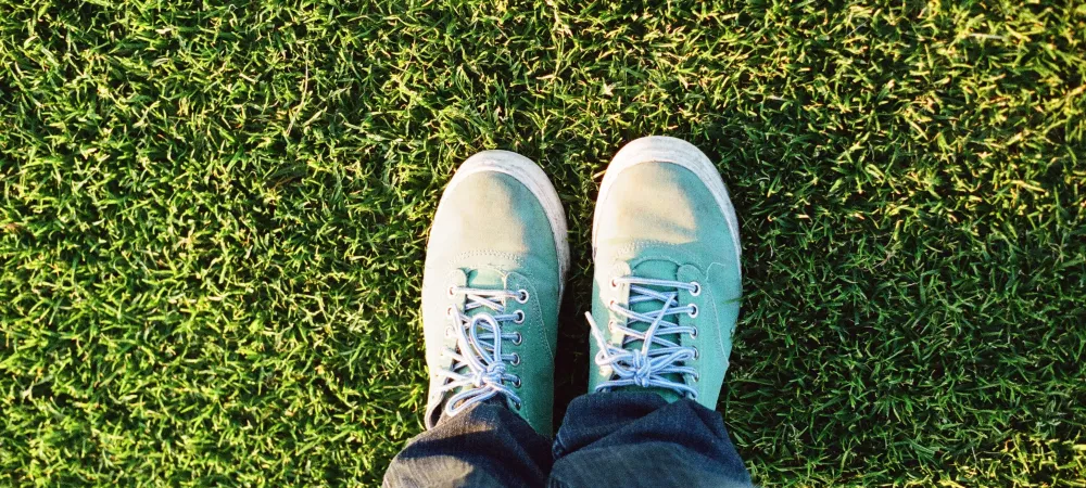 Someone standing on green healthy grass