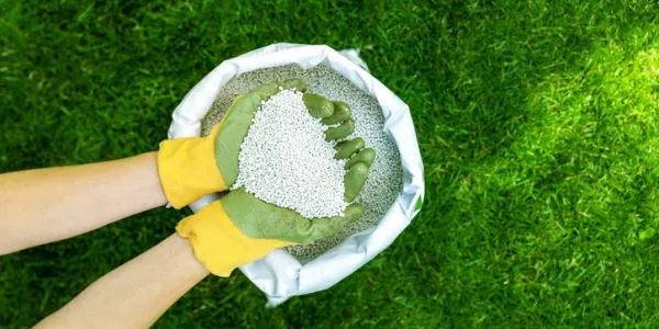 lawn tech holding granules