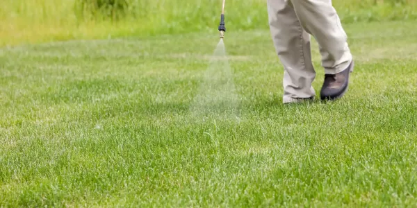 tech spraying grass
