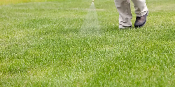 tech spraying grass